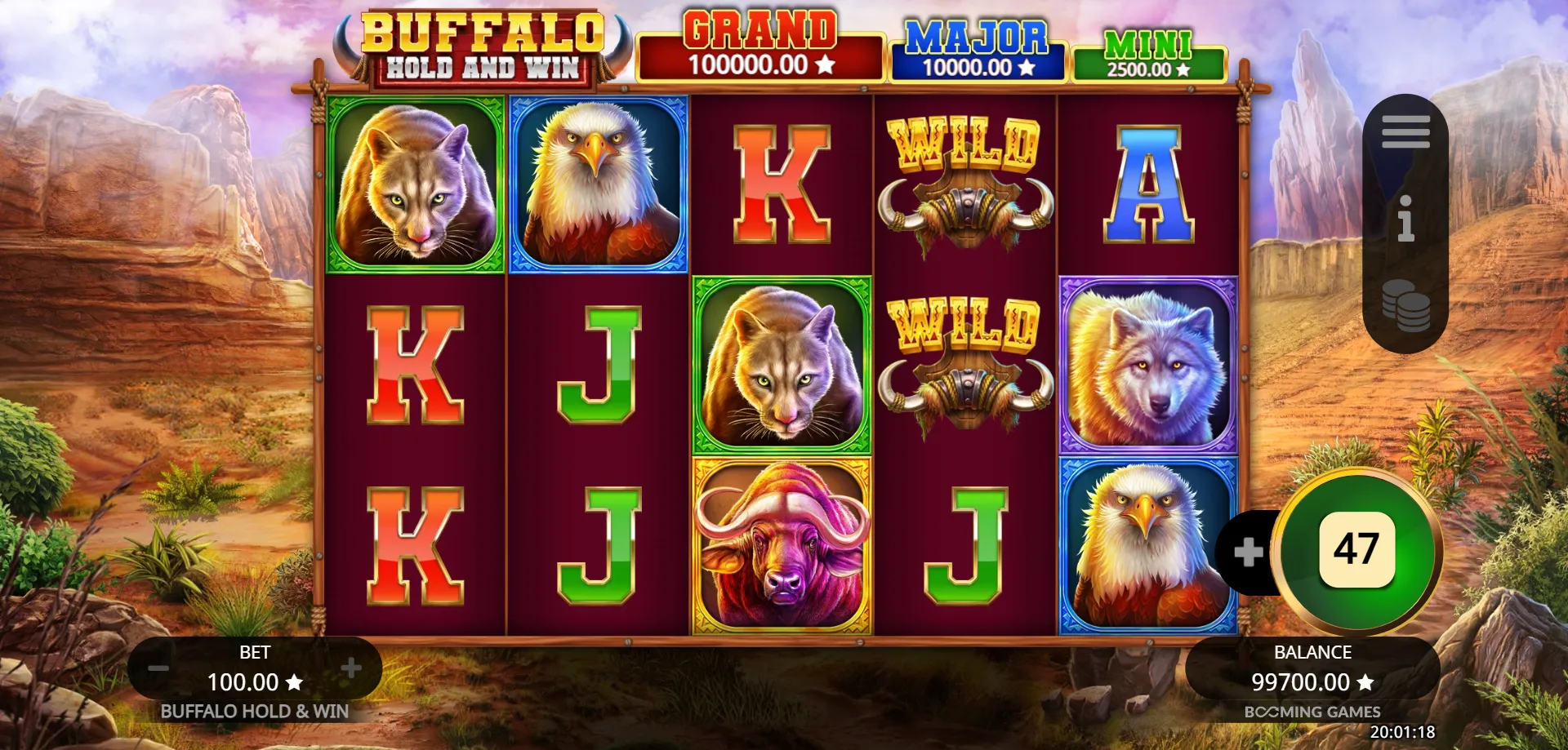 Buffalo Hold and Win RTP — What 95.90% Actually Means for Your Wallet